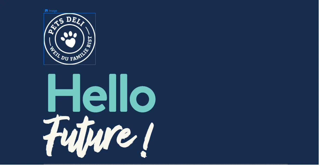Hello Future campaign — team photo with branded packaging, warm tones, and 'the future of pet food' positioning statement